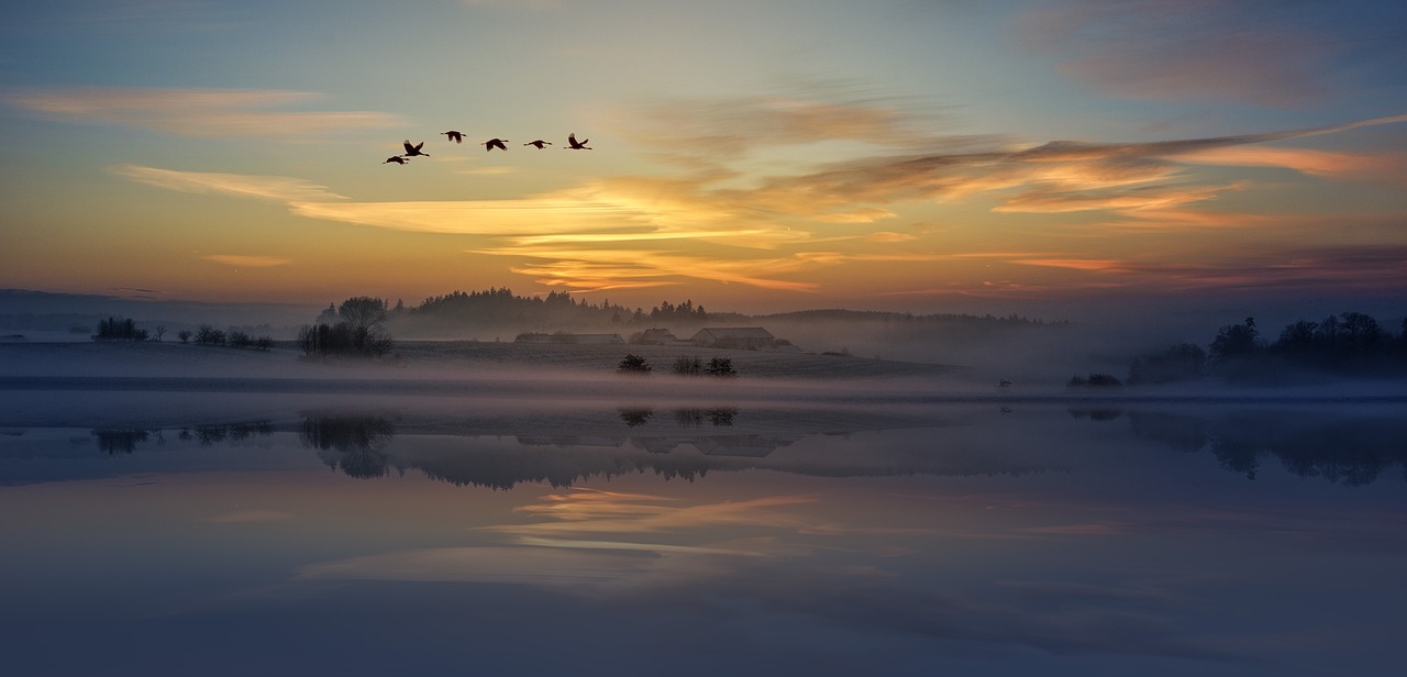 Cloud-Migration in 8 Schritten: Von der Bestandsaufnahme bis zum Go-Live