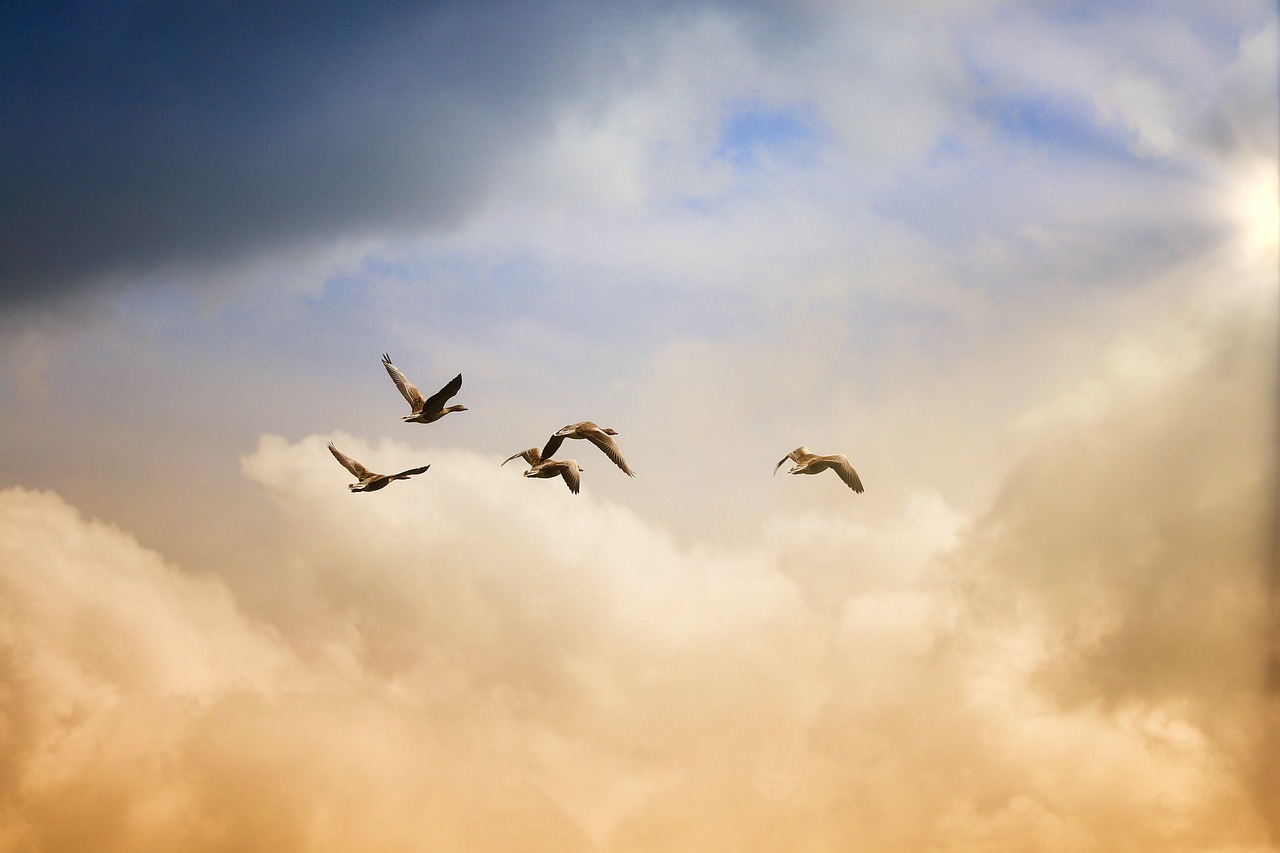 Cloud-Migration in 8 Schritten: Von der Bestandsaufnahme bis zum Go-Live